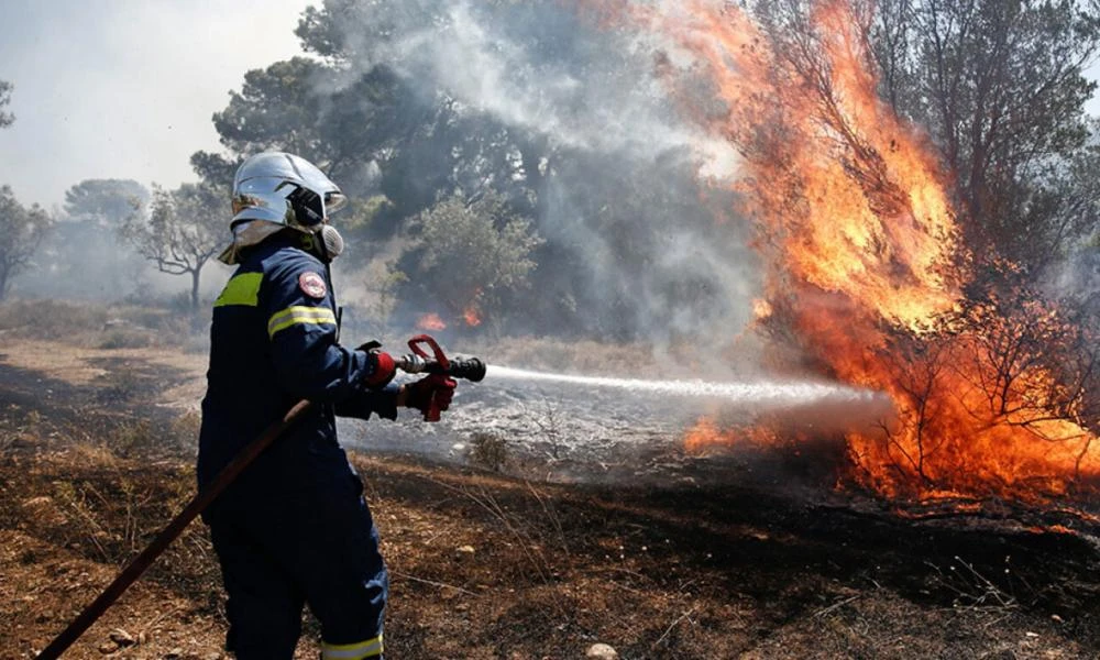 Καθηγητής ανώτατης εκπαίδευσης δηλώνει ο 32χρονος Τούρκος που συνελήφθη για τις φωτιές στο όρος Αιγάλεω